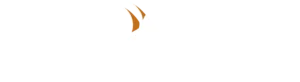 iberianjets logo color 300x82