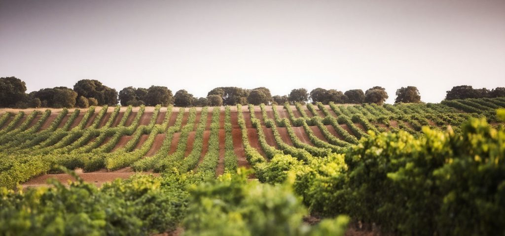 Hero Inicio 04 2025 10 27 20 28 11.126721