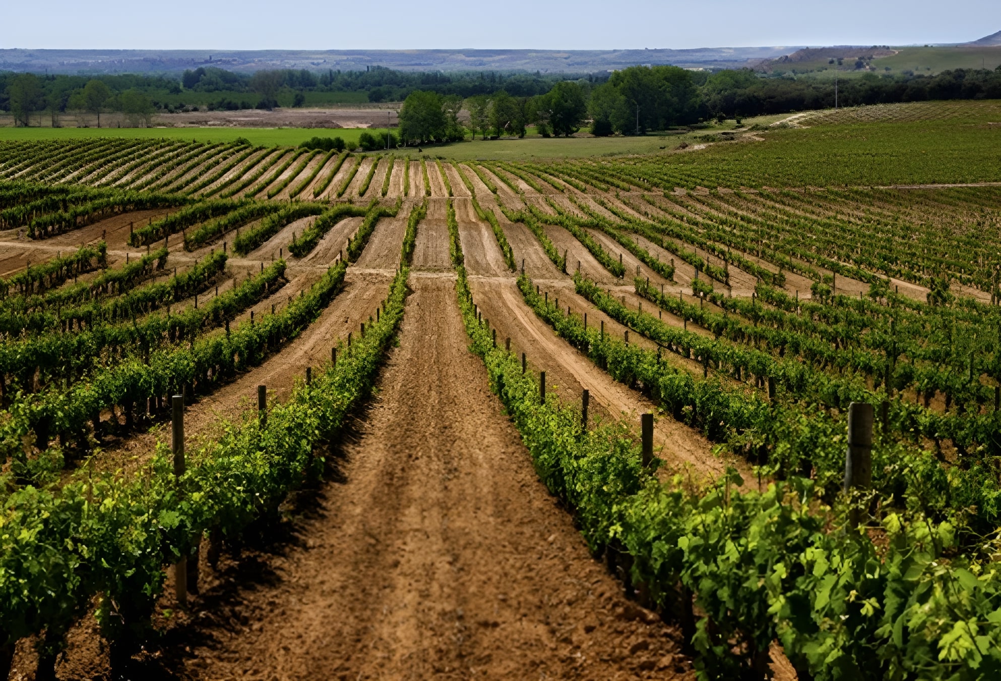 frame 311 (3) frame 311 (3) 2025 10 28 17 50 12.871876.webp