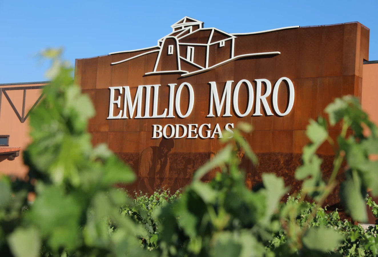 frame 395 (1) frame 395 (1)