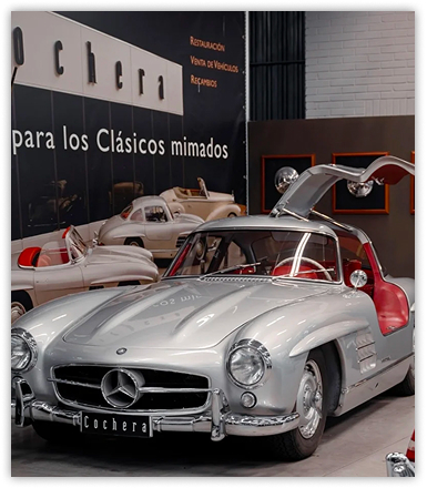 IMG 20260113 225427.jpg